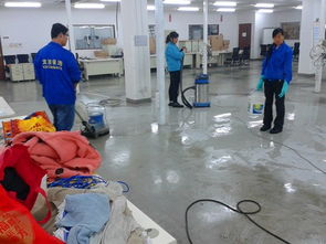 全方位保潔服務(wù) 從開(kāi)荒到托管，為您打造潔凈空間