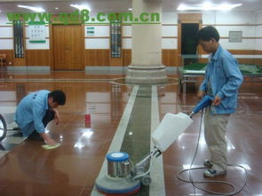 北京專業(yè)保潔服務全解析 小營、惠新西街、亞運村及擦玻璃地毯清洗